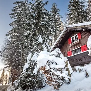 Le Petit Reve - De Chalet Montriond